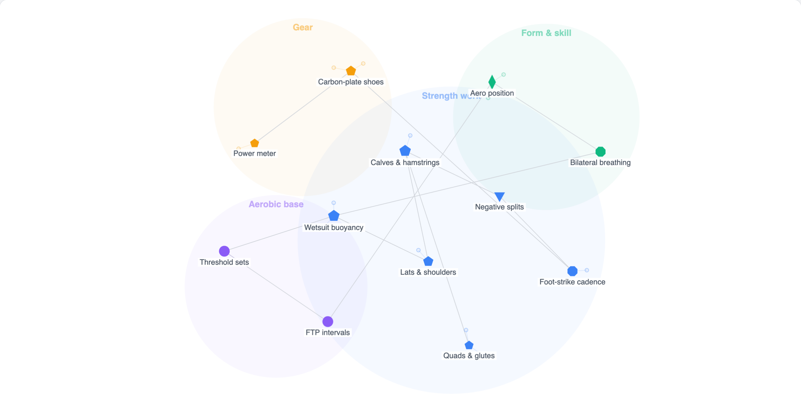 Notes grouped into organic semantic clusters — the live base a proposed spine projects over